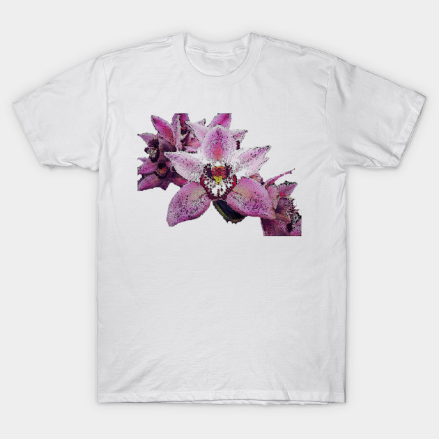 Orchid 2